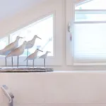بيت للعطل Spinnaker *